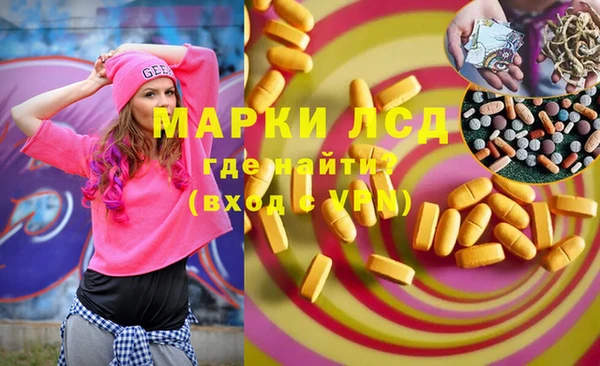 индика Армянск