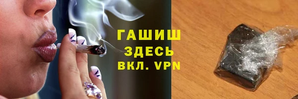 индика Армянск