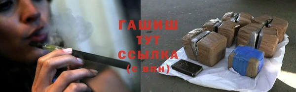 индика Армянск