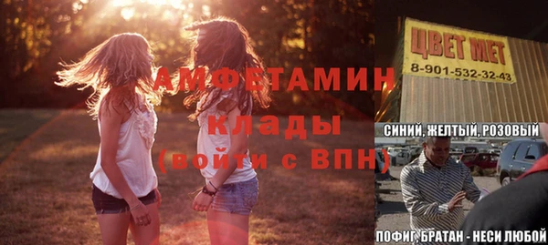 амф Новозыбков