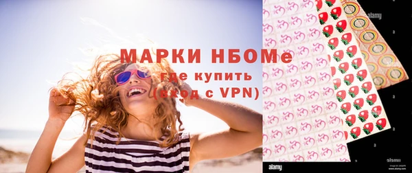 индика Армянск